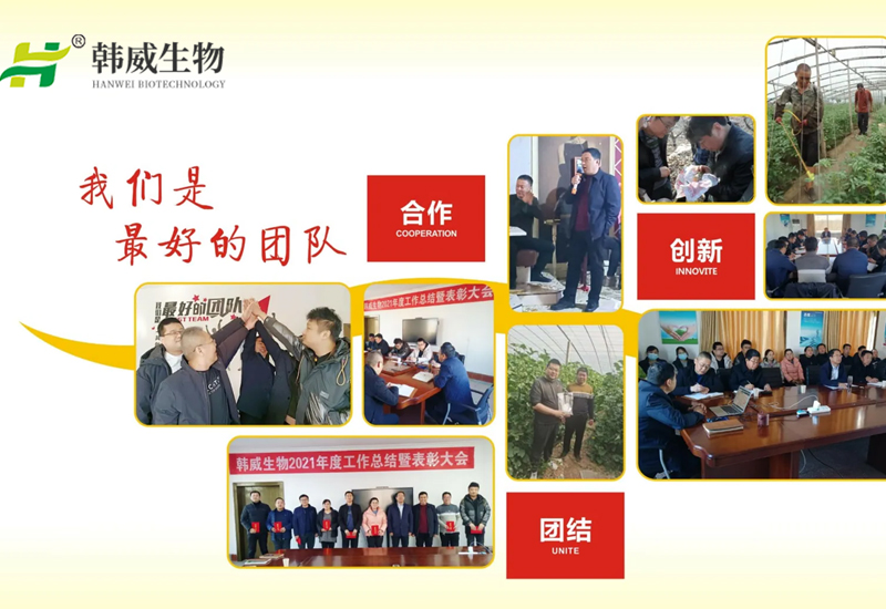 回望过去，成绩斐然；展望明天，未来可期。